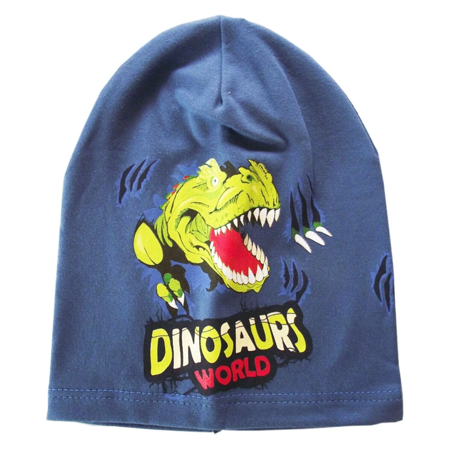

Демисезонная трикотажная шапка DINOSAURS BE SNAZZY CDL-121056-Blue синий 48-54 см (CDL-121056-Blue-48-54)