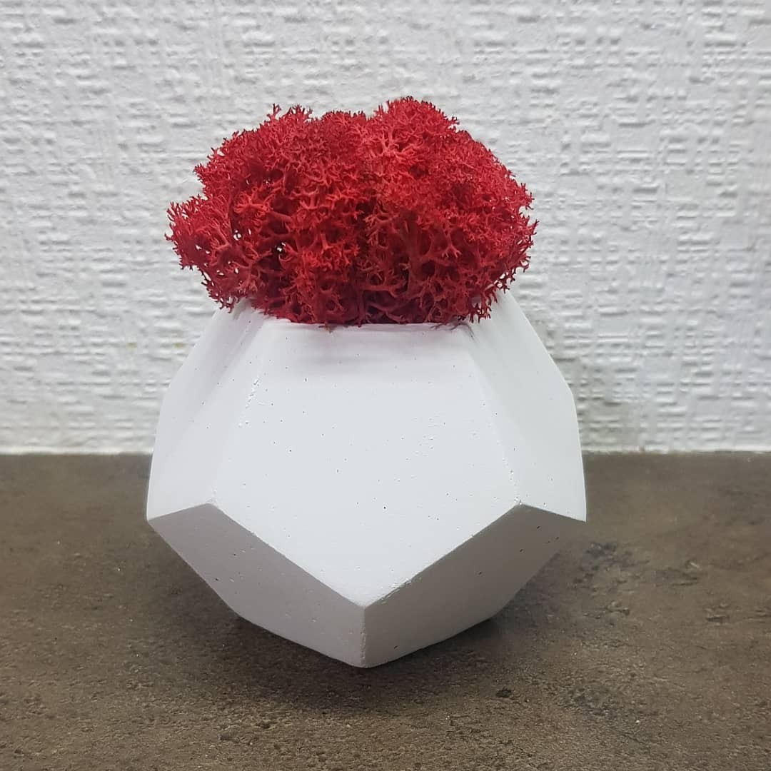 

Кашпо с мхом Wow Decor Гексагон белый с бордовым мхом