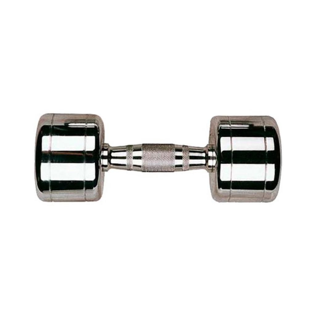 

Гантель Stein Хромированная 10 кг (DB3002-10)