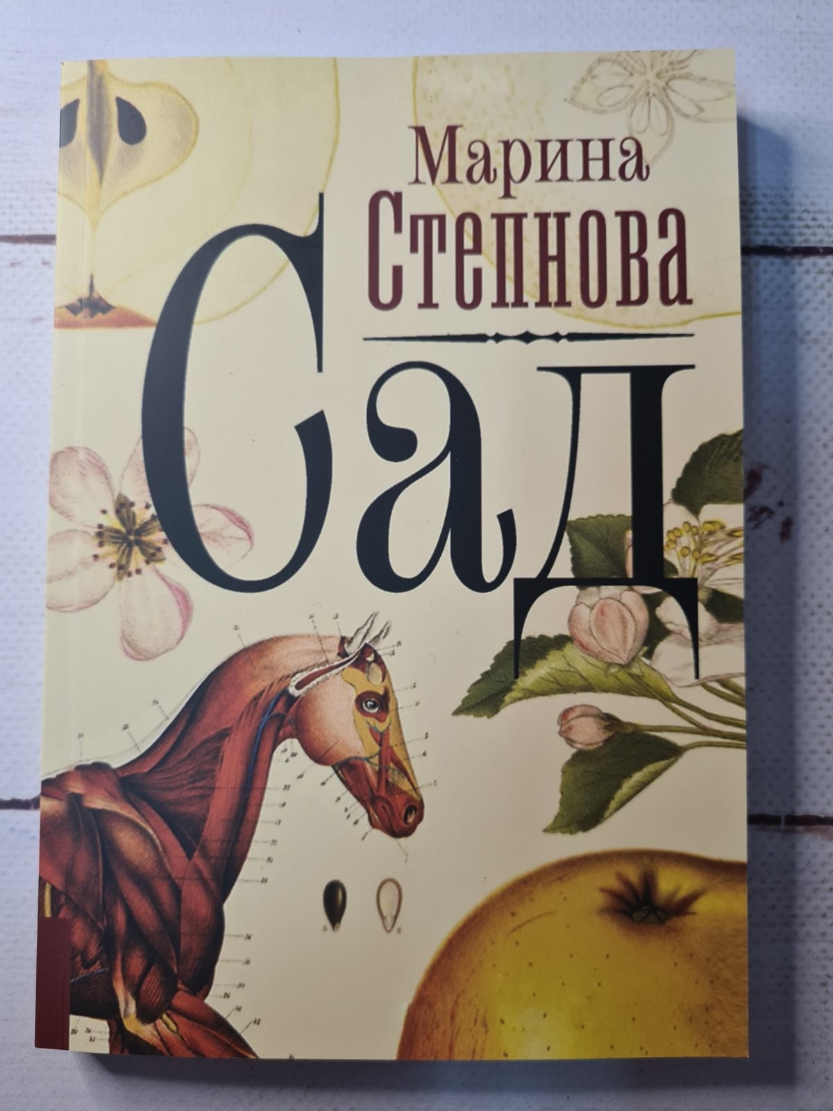 

Книга Сад Марина Степнова Apgads Mantojums