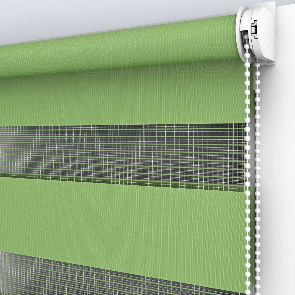 

Жалюзи День-Ночь Classic DN207 Greenery 100 x 200 см