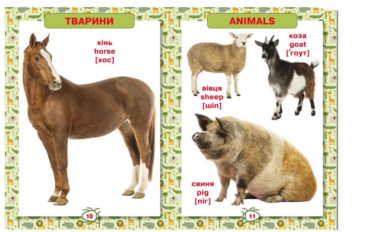 

Книга Crystal Book "Первая энциклопедия животных для детей. От 8 месяцев до 5 лет" украинский+английский (Т574)