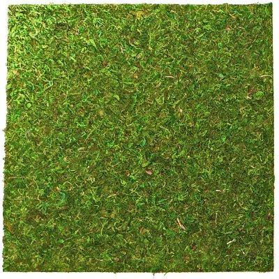 

Фон моховый REPTI-ZOO Natural Moss Back _ Bottom 20x20см 2шт. (NCM2020) (RZ-NCM2020)