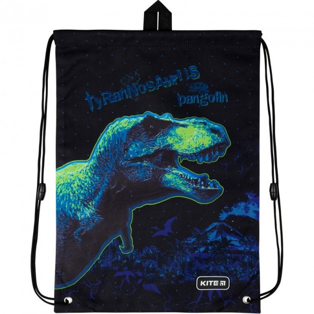 

Сумка для обуви Kite Tyrannosaur 46x33 см Черная (K20-600M-16)