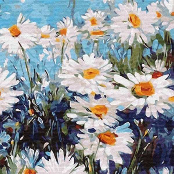 

Картина по номерам. "Ромашковое поле" 30*30см KHO3101