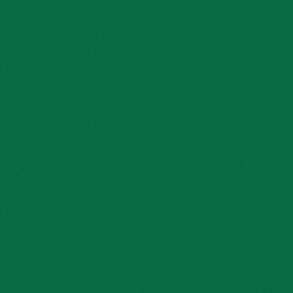 

Линолеум коммерческий рулон Tarkett OMNISPORTS V35 FIELD GREEN (2 x 20,5 м)