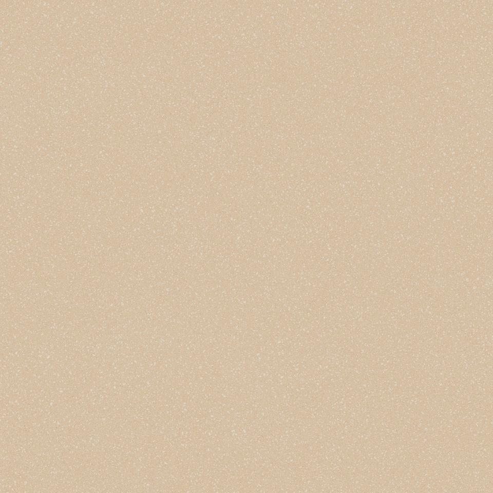 

Линолеум коммерческий рулон Tarkett ACCZENT PRO - Aspect 5 (4 x 20 м)