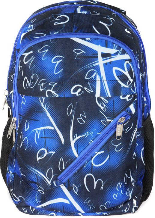 

Рюкзак ортопедический Leader City 830 г 42х29х15 см 18 л Синий с белыми разводами (2000009823837)