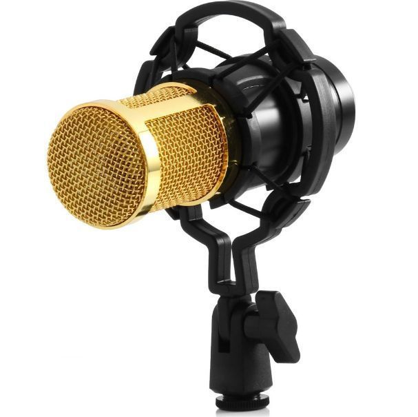 

Микрофон студийный LikeTronic M-800 (008400) Золотой