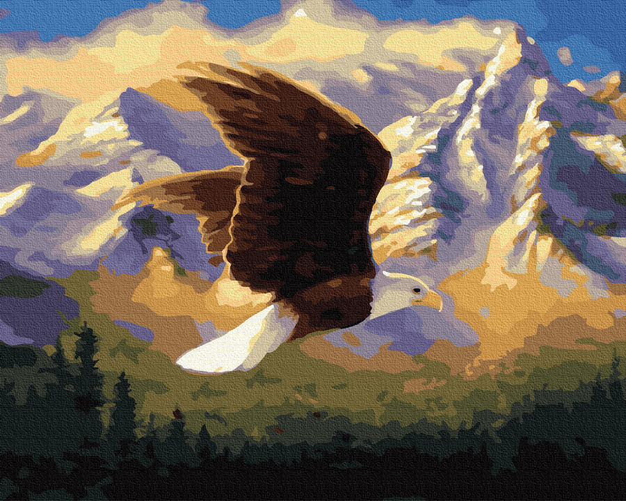 

Картина по номерам - Горный орел BrushMe 40*50см. (GX32489)