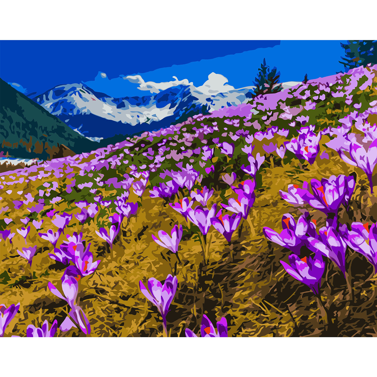 

Картина по номерам Крокусы у горы, 40*50 см, ST в коробке