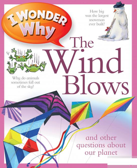 

I Wonder why the Wind Blows and Other Questions about Our Planet (1011474)