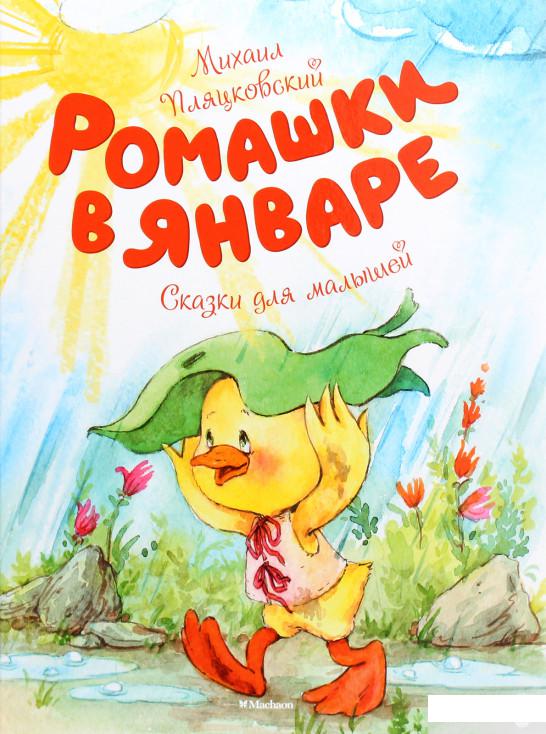

Ромашки в январе (1265093)