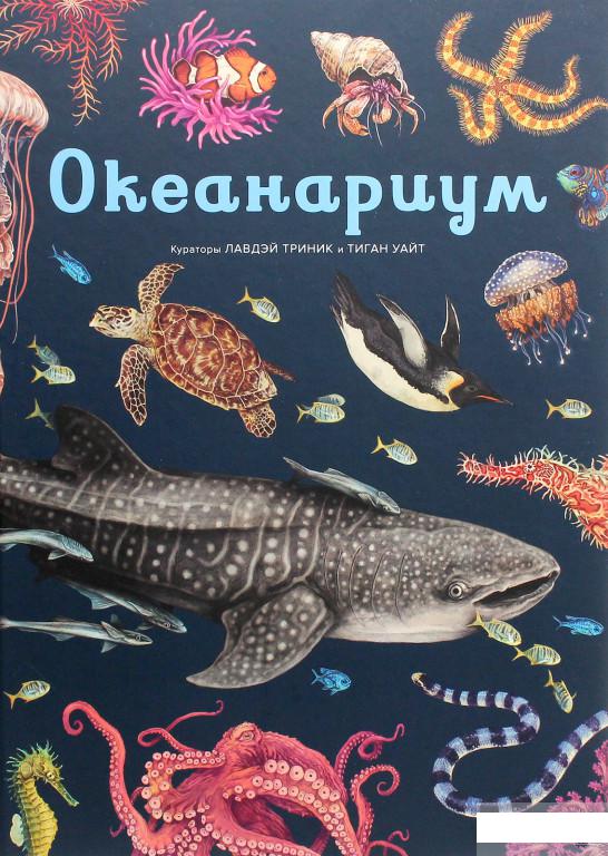

Океанариум (1265097)