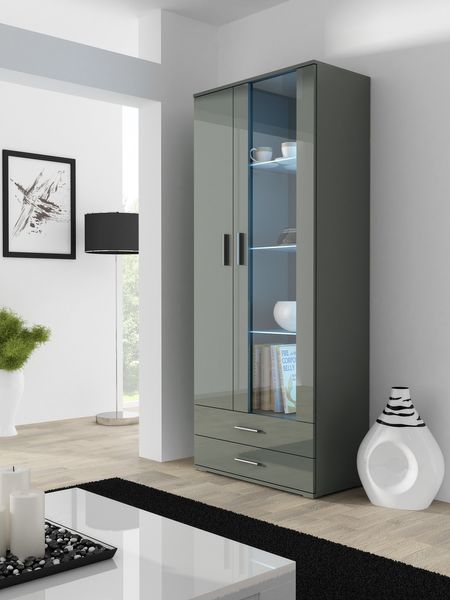 

Витрина для зала CAMA SOHO S6 2D2S Серый мат/Серый глянец с подсветкой Польша