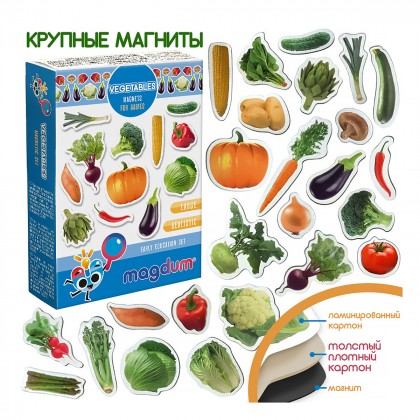 

Набор магнитов Magdum Овощи (17-6281426)