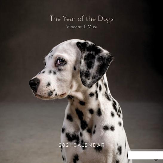 

2021 Wall Calendar: Year of the Dogs (1232552)