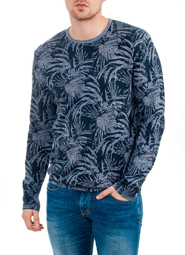 

Джемпер мужской Pierre Cardin с принтом XXL Синий (А:55830/3105 М:91546)