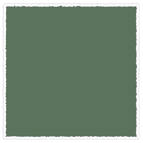 

Пастель сухая мягкая Schmincke Leaf green 2 073 B