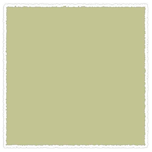 

Пастель сухая мягкая Schmincke Olive green 1 085 O