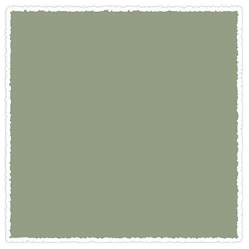 

Пастель сухая мягкая Schmincke Greenish grey 1 093 M