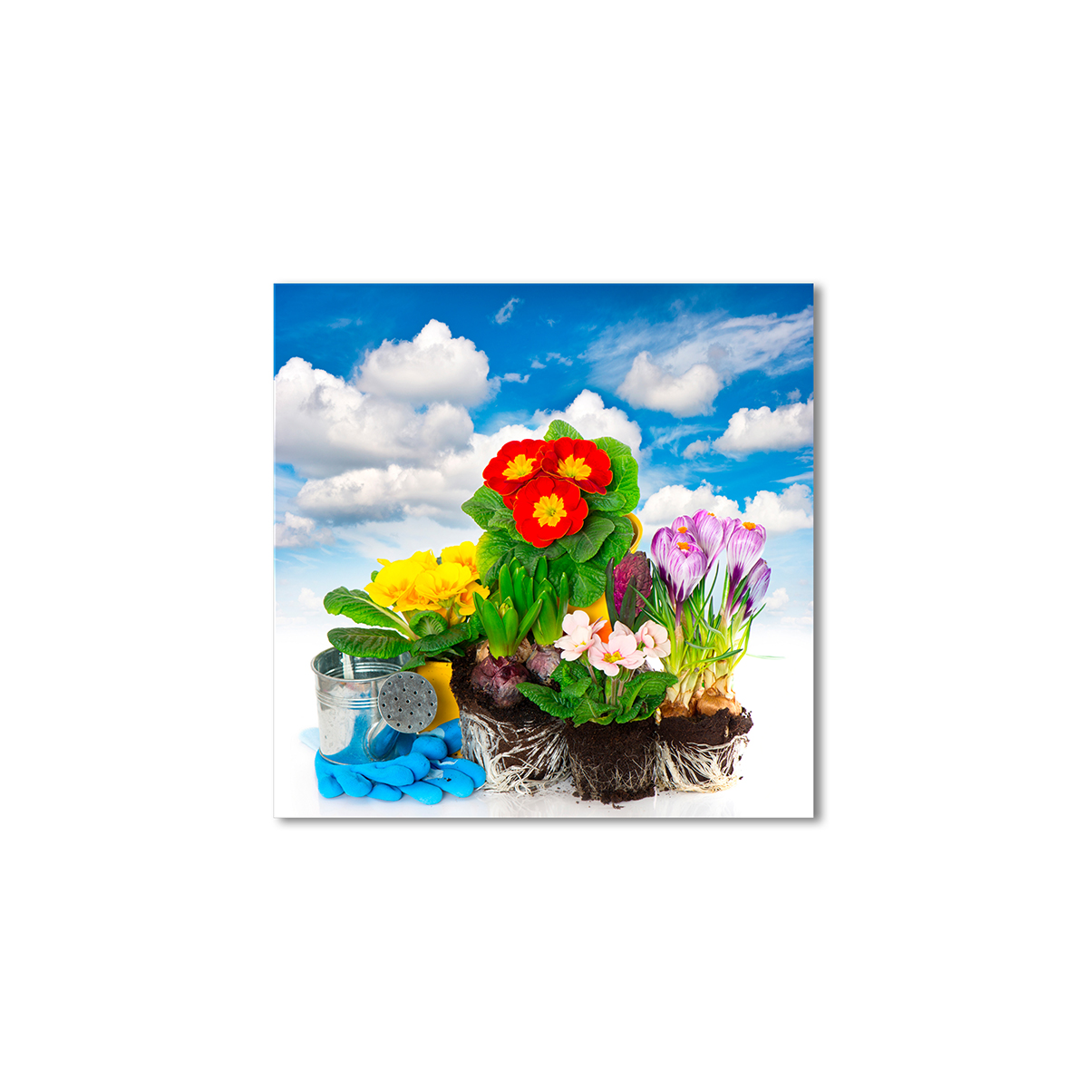 

Модульная картина Artel «Мечта садовника, весенние цветы» 50x50 см