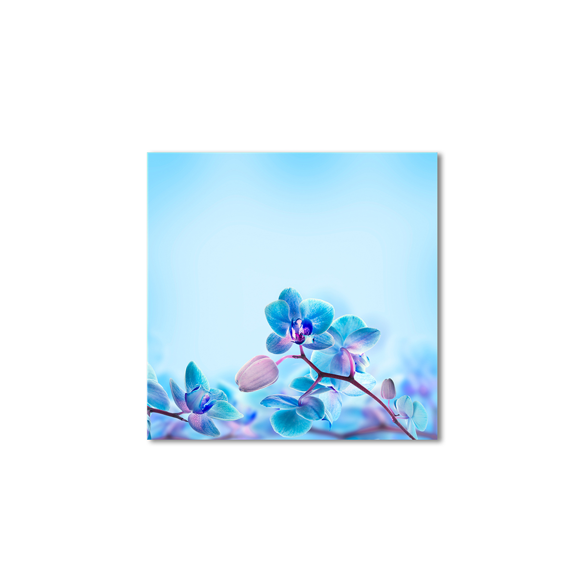 

Модульная картина Artel «Голубая орхидея» 120x120 см
