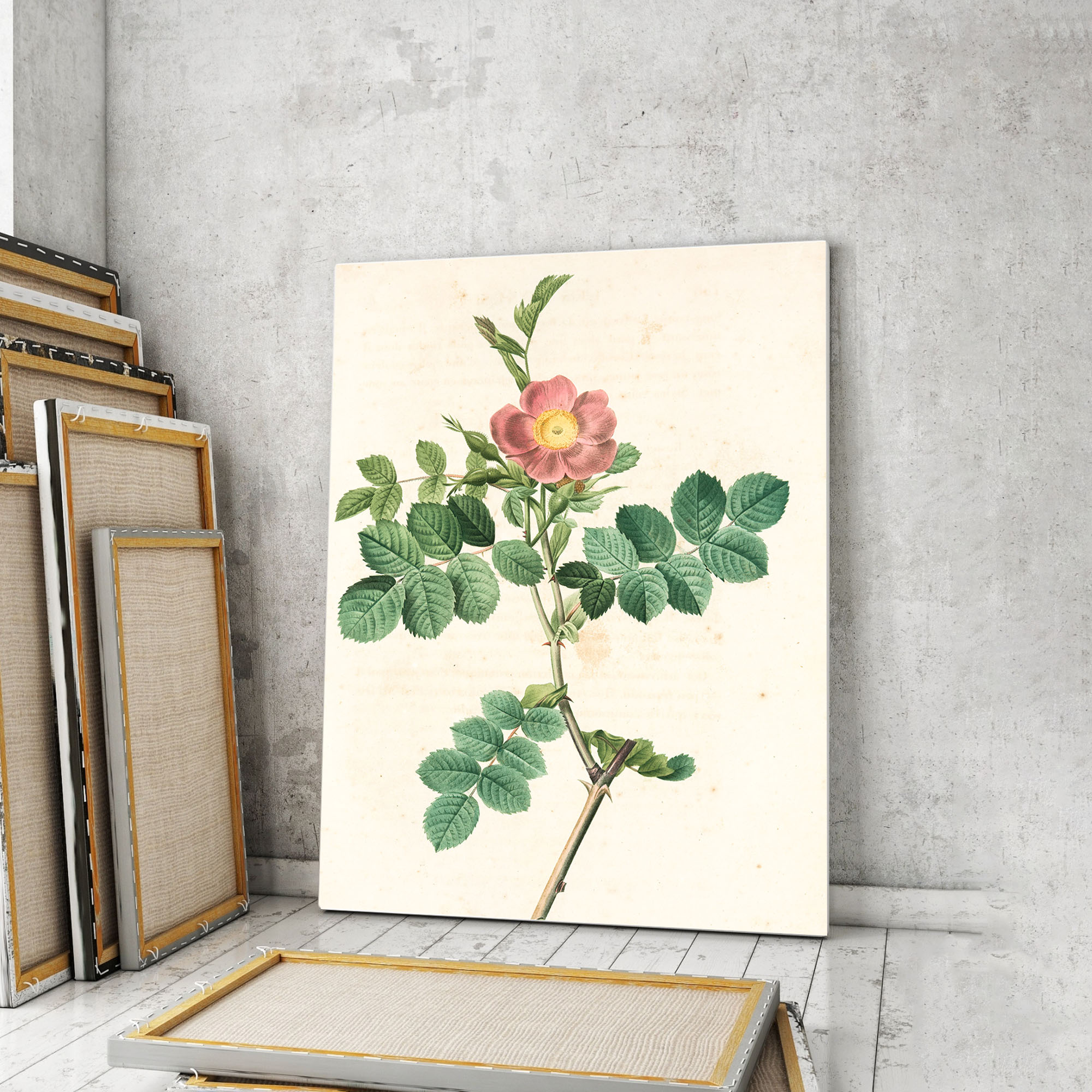 

Модульная картина Artel «Винтажная раскрашенная вручную литография Красно-бурый шиповник» 60х40 см