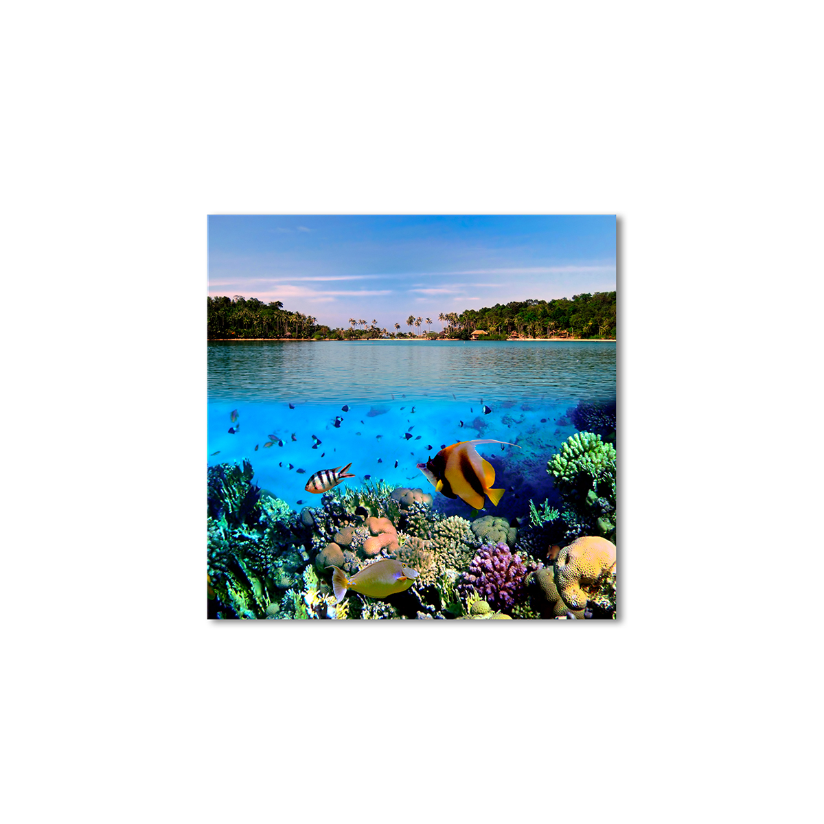 

Модульная картина Artel «Яркая фауна» 120x120 см