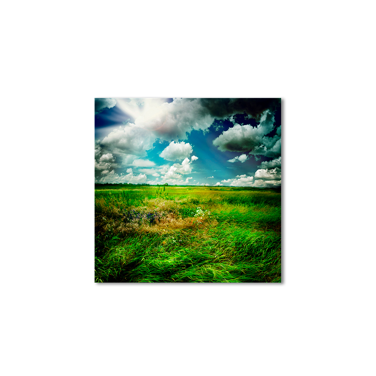 

Модульная картина Artel «Красивый сельский пейзаж» 120x120 см
