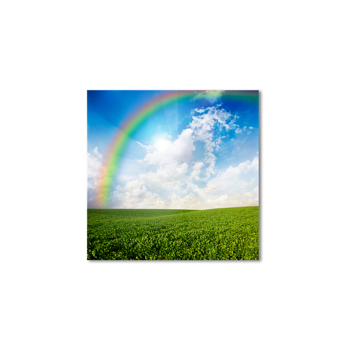 

Модульная картина Artel «Радуга над полем» 120x120 см