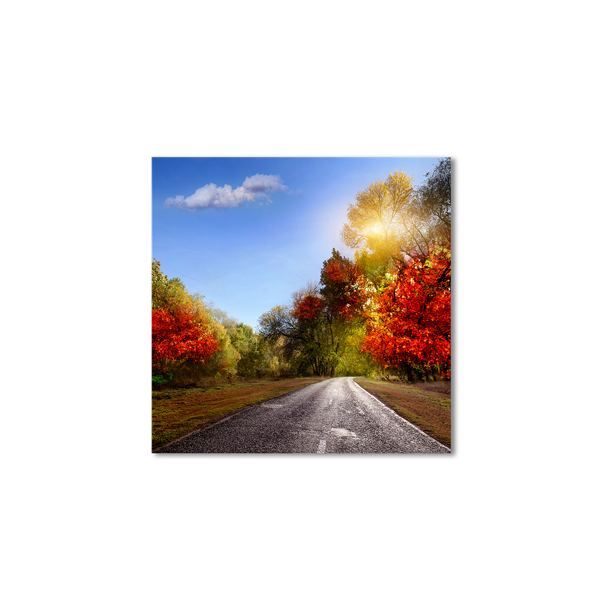 

Модульная картина Artel «Дорога осенние деревья» 80x80 см