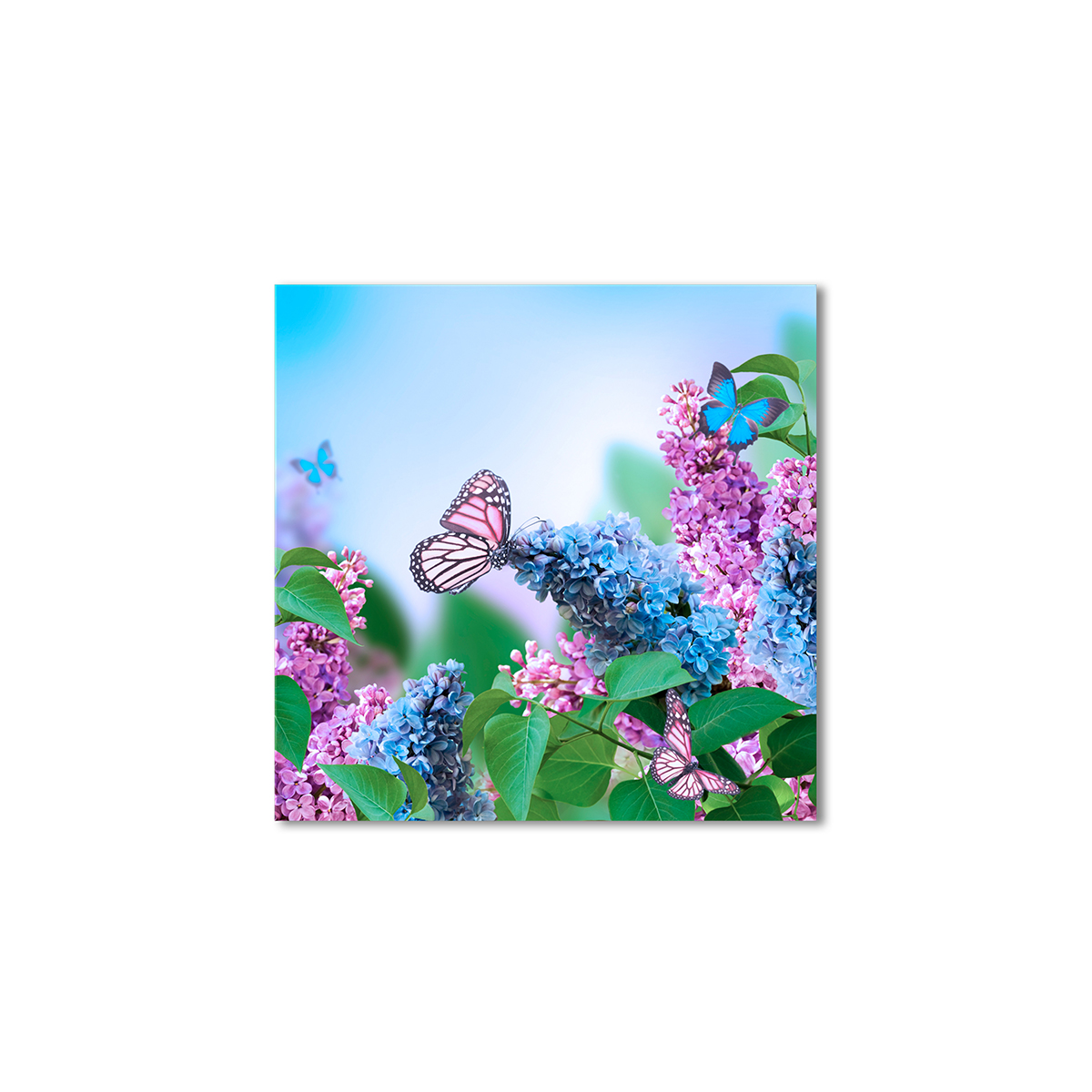 

Модульная картина Artel «Бабочки на сирени» 100x100 см