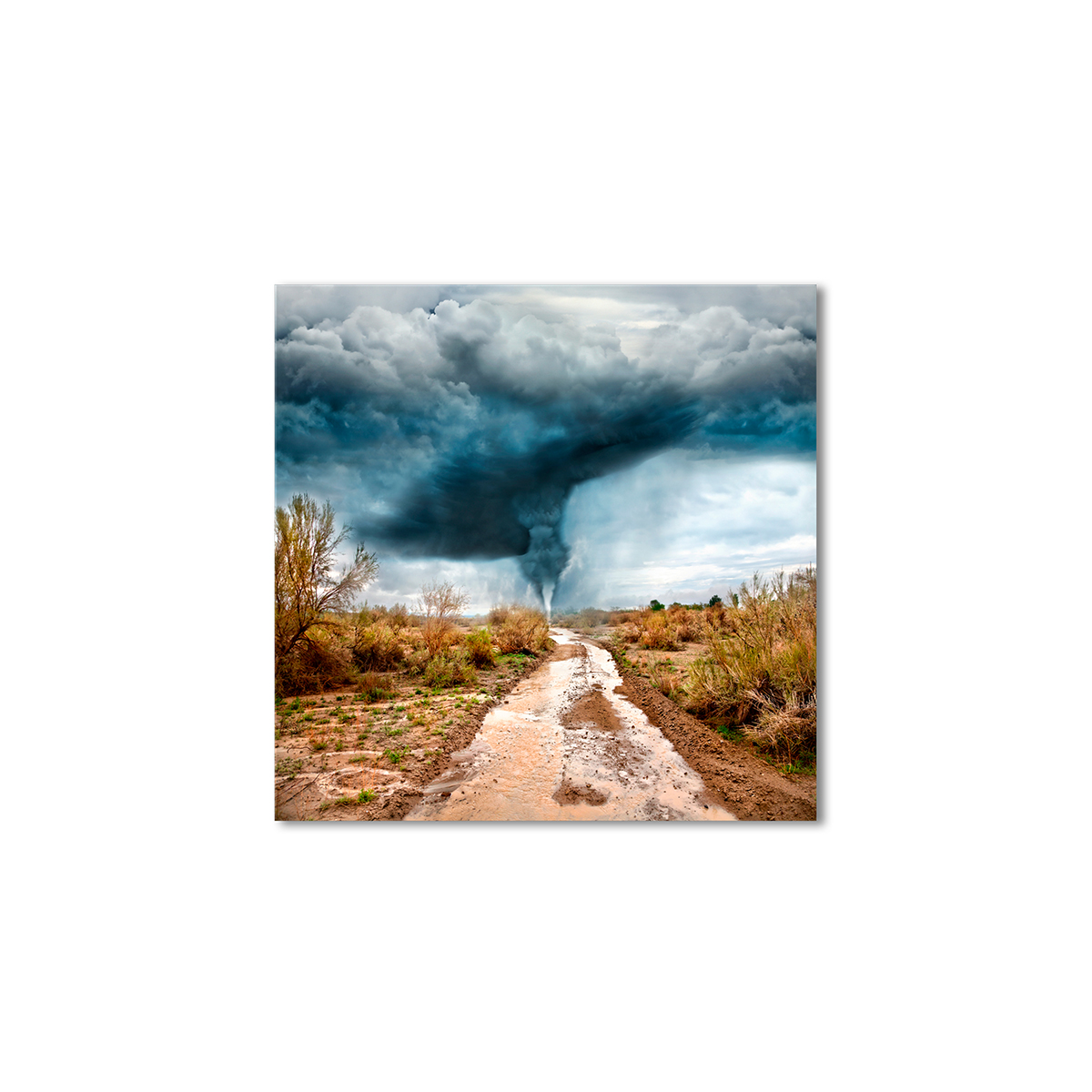

Модульная картина Artel «Торнадо в кустарной пустыне» 120x120 см