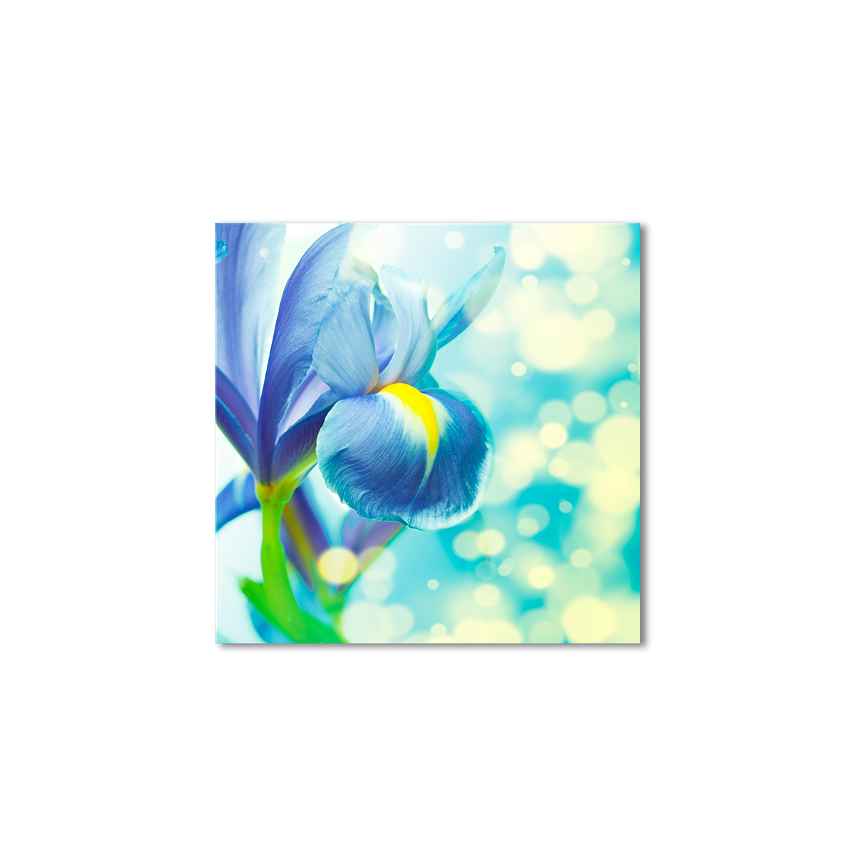 

Модульная картина Artel «Голубой ирис» 80x80 см