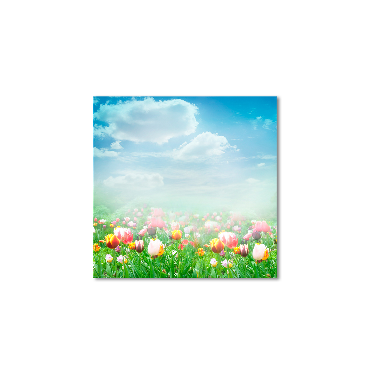 

Модульная картина Artel «Туман на поле диких тюльпанов» 120x120 см