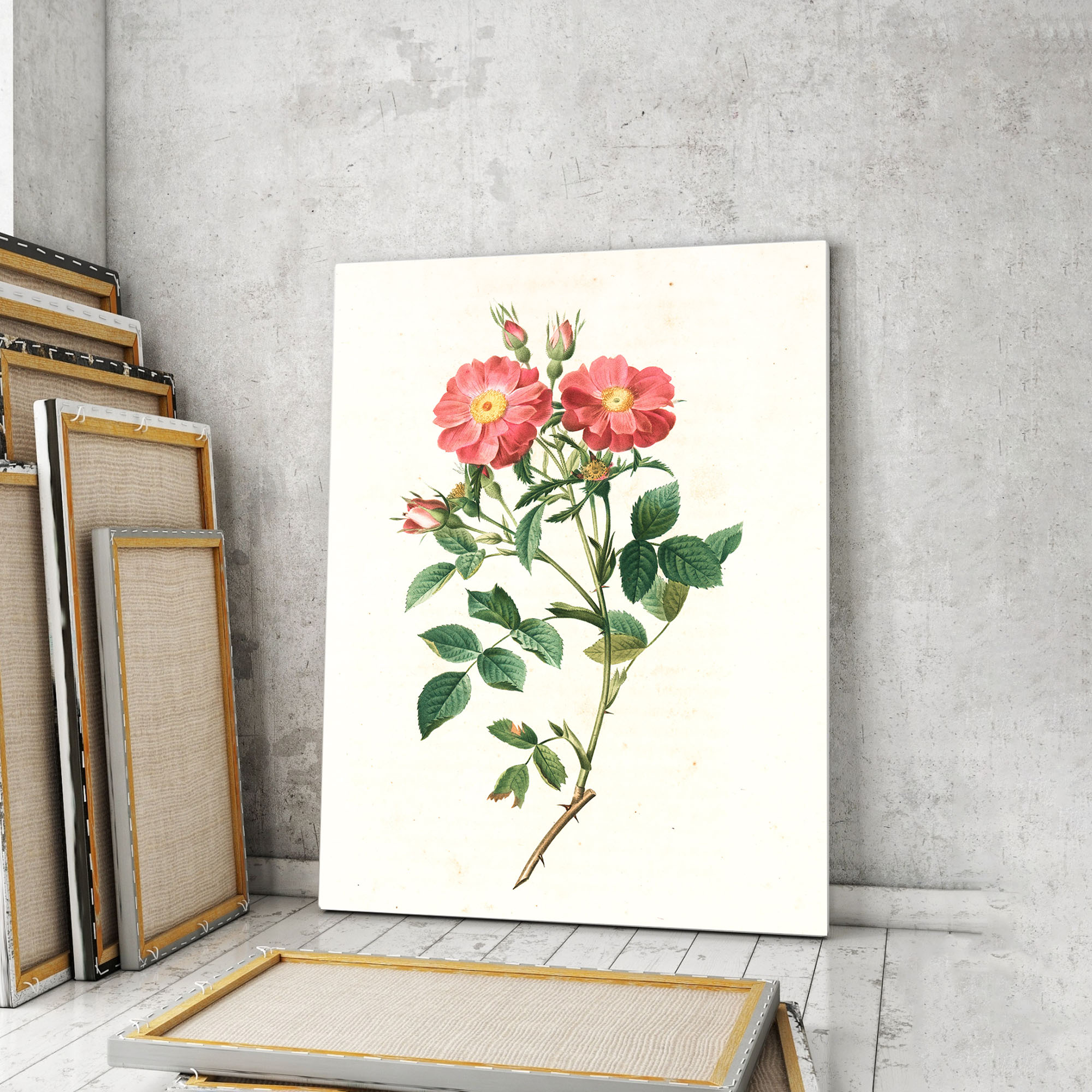 

Модульная картина Artel «Винтажная раскрашенная вручную литография Роза Рубигиноза» 105x70 см