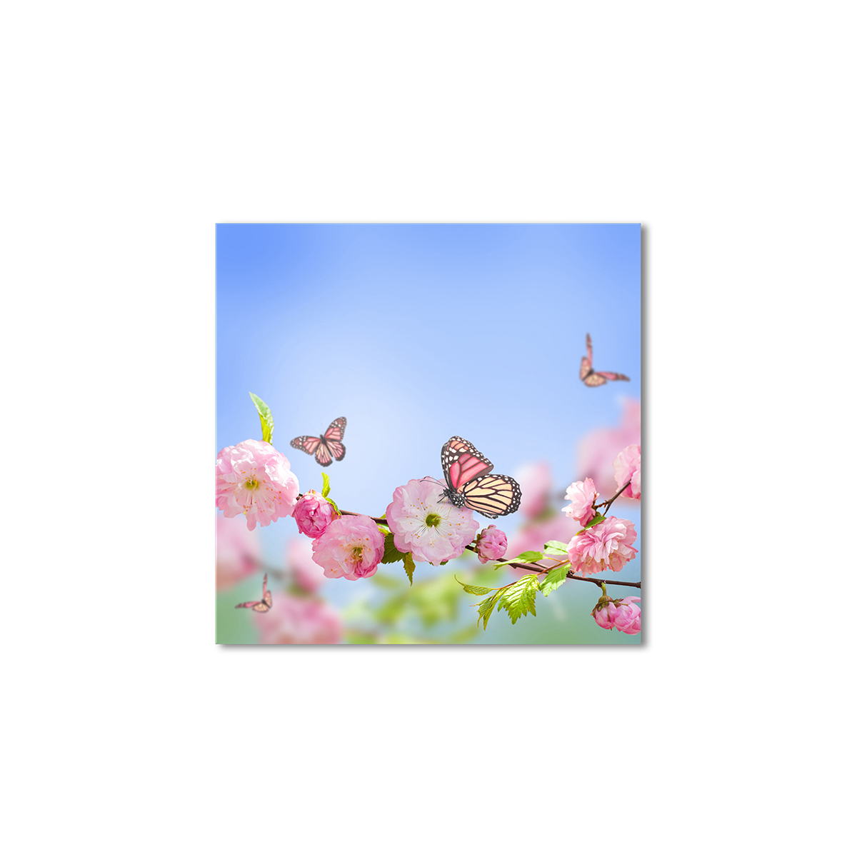 

Модульная картина Artel «Бабочки на сакуре» 100x100 см
