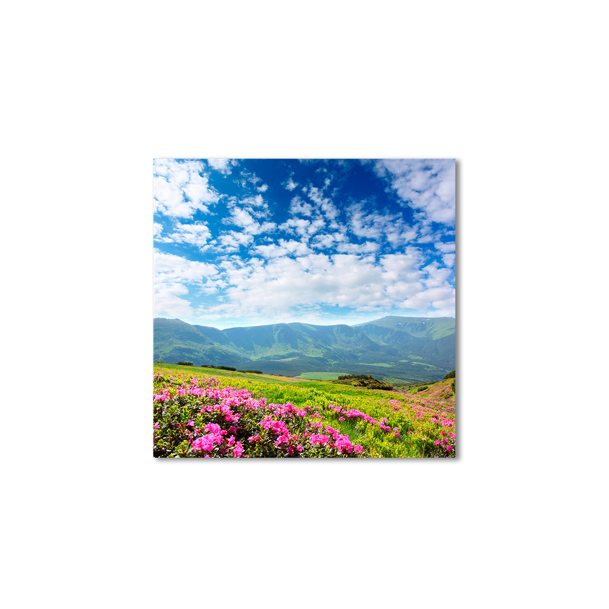 

Модульная картина Artel «Летние горы цветы» 120x120 см