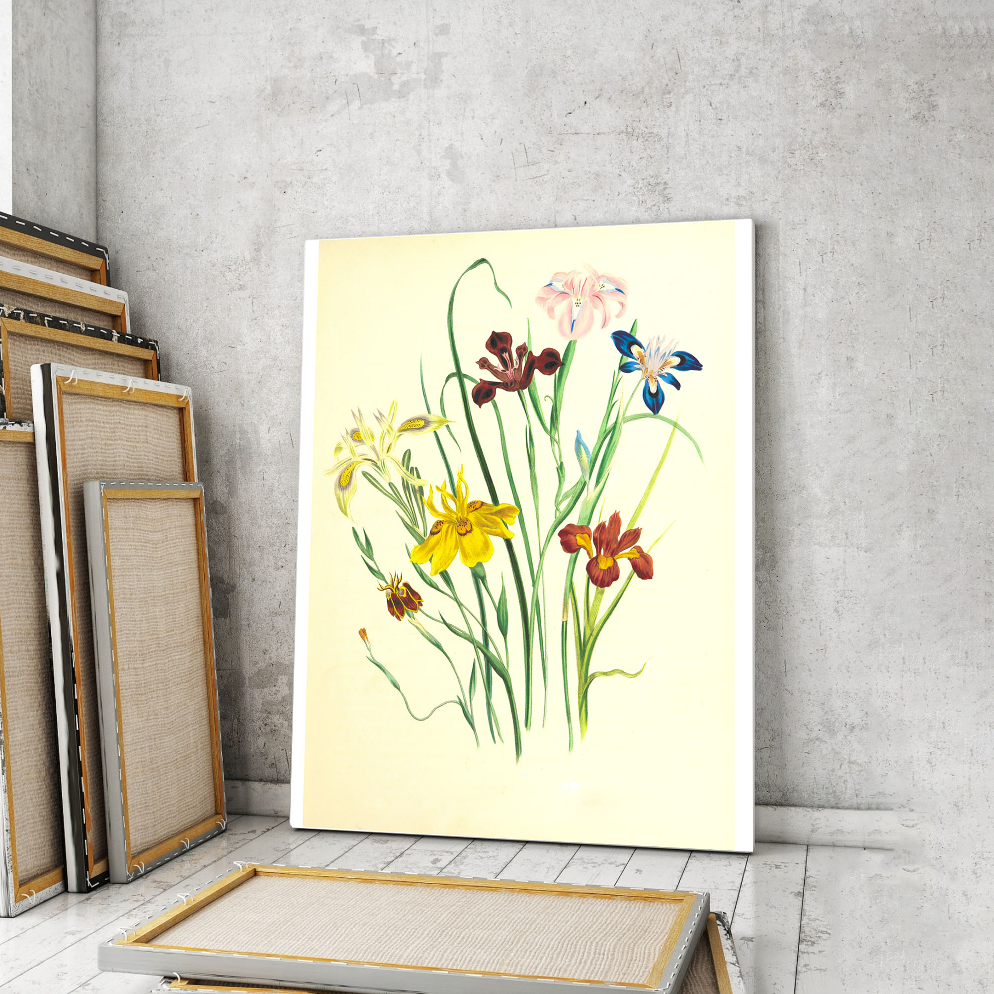 

Модульная картина Artel «Винтажный акварельный рисунок ирисы» 90x60 см