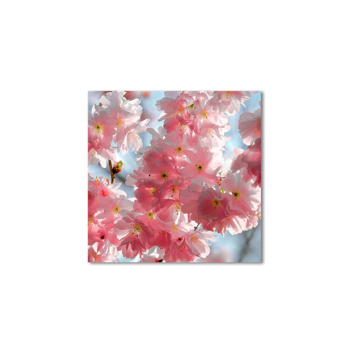

Модульная картина Artel «Розовое цветение» 80x80 см