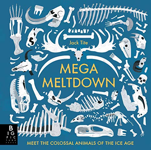 

Книга Mega Meltdown - Jack Tite - 9781783708314