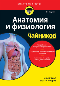 

Анатомия и физиология для чайников