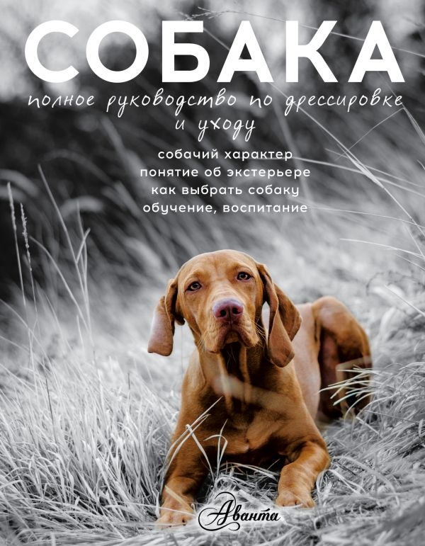 

Собака. Полное руководство по дрессировке и уходу