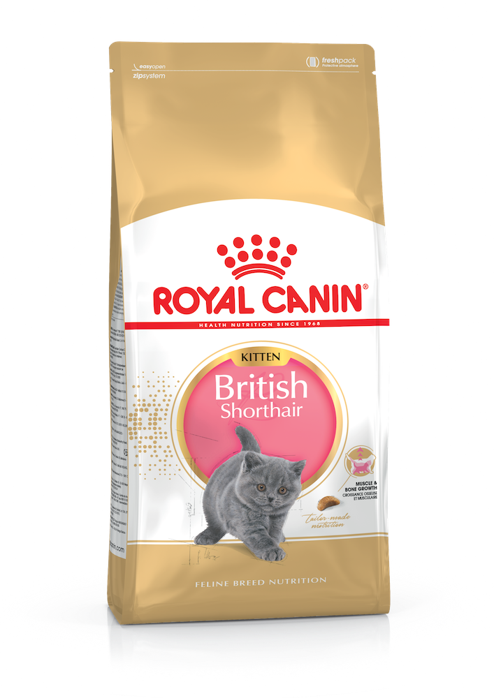 

Сухий корм Royal Canin British Shorthair Kitten 2 кг + контейнер для корму (AK2566020)