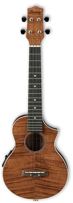 

Укулеле IBANEZ UEW15E 78722