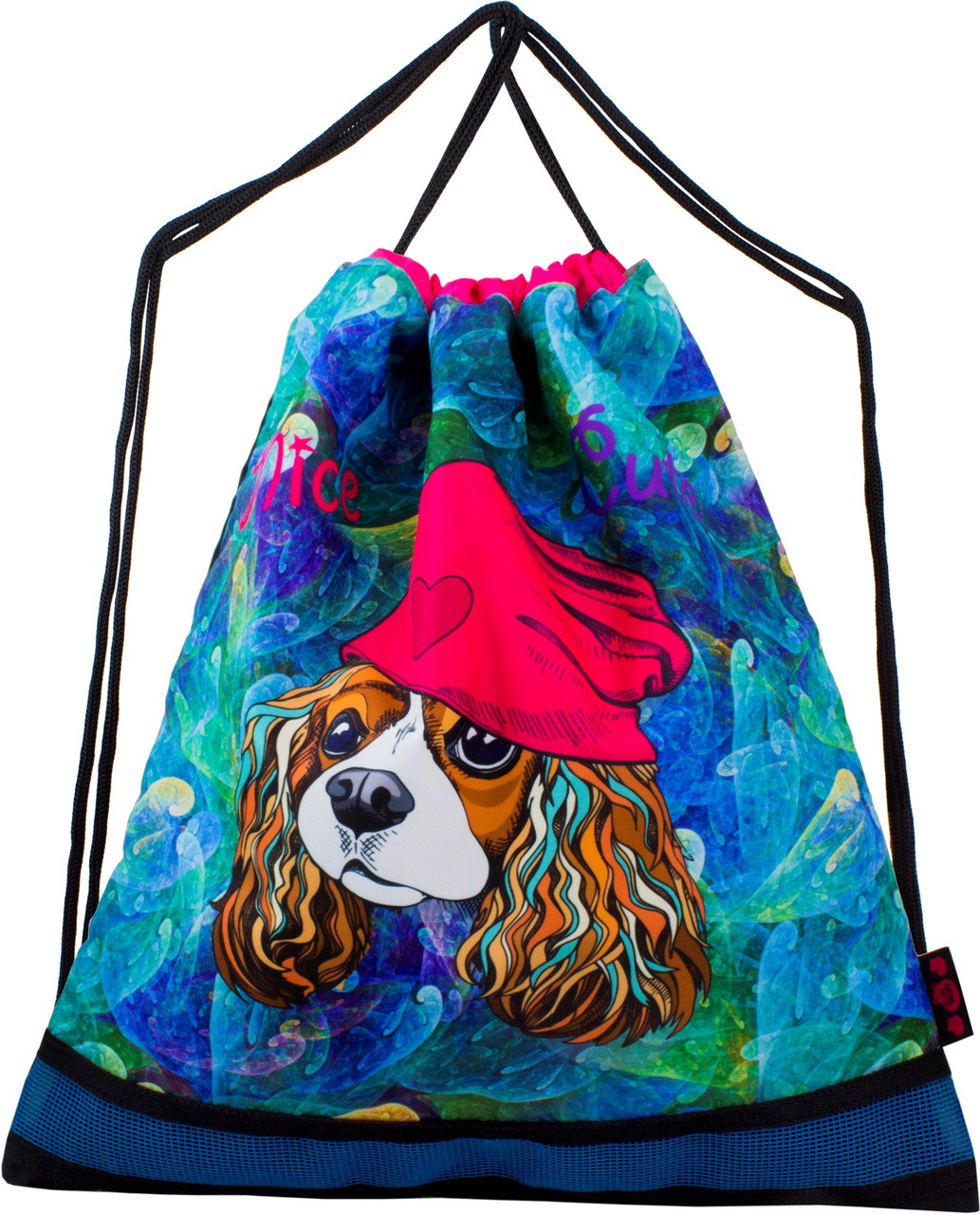 

Сумка для обуви для девочек DeLune S-167