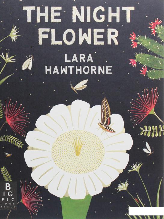 

The Night Flower (1115266)
