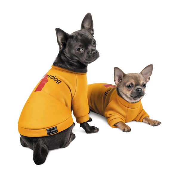 

Товстівка Pet Fashion «Superdog» XS-2