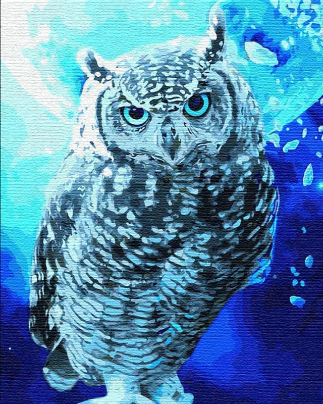 

Картина для рисования по номерам Идейка Берегиня ночного солнца 40х50 см В коробке (КН4089)